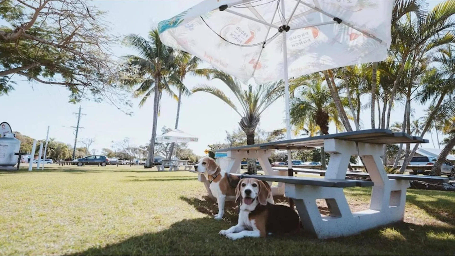 *** Campingplatz Discovery Parks - Bargara Australien
